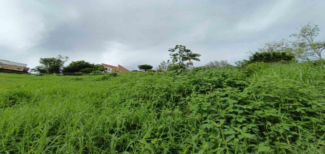 Lote en venta en San Bernardo Del Viento, Manizales · foto 13 de 24