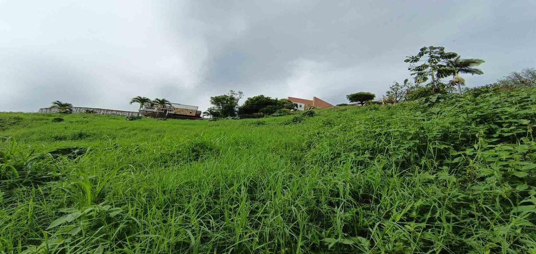 Lote en venta en San Bernardo Del Viento, Manizales · foto 14 de 24