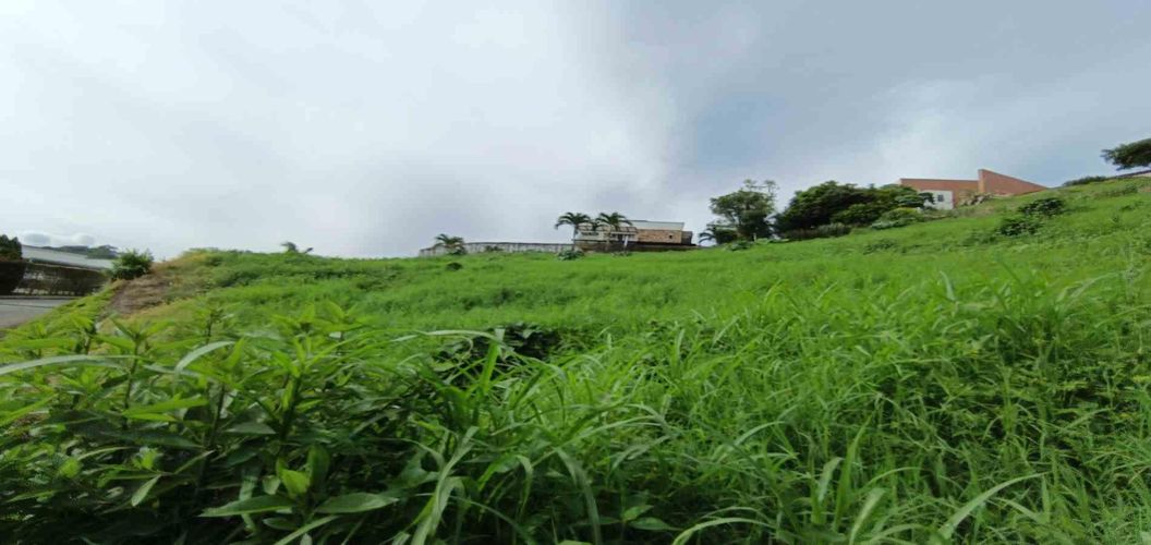 Lote en venta en San Bernardo Del Viento, Manizales · foto 18 de 24