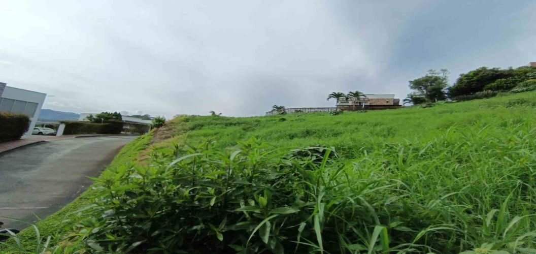 Lote en venta en San Bernardo Del Viento, Manizales · foto 19 de 24