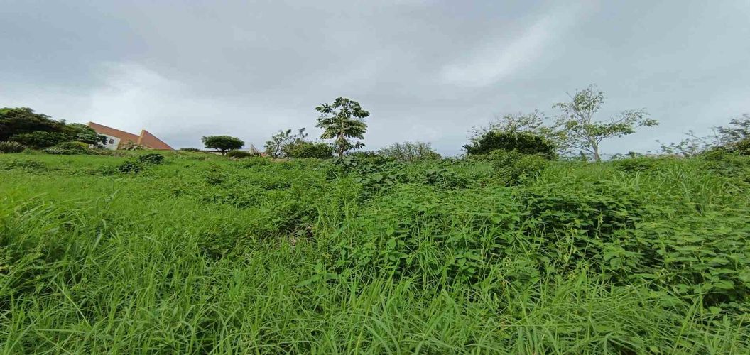 Lote en venta en San Bernardo Del Viento, Manizales · foto 21 de 24