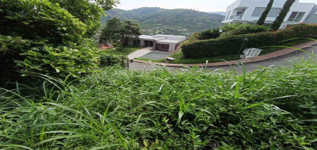 Lote en venta en San Bernardo Del Viento, Manizales · foto 22 de 24