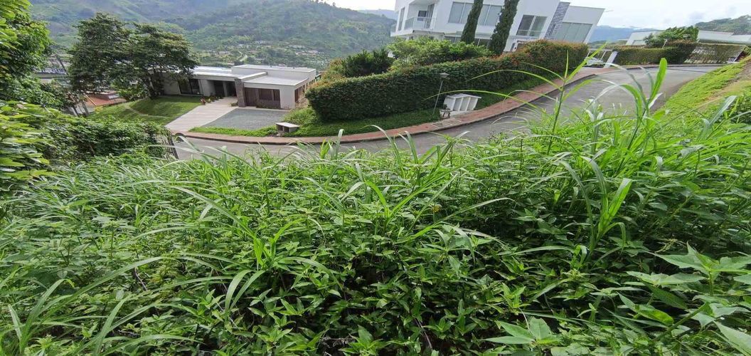 Lote en venta en San Bernardo Del Viento, Manizales · foto 23 de 24