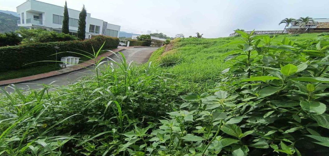 Lote en venta en San Bernardo Del Viento, Manizales · foto 24 de 24