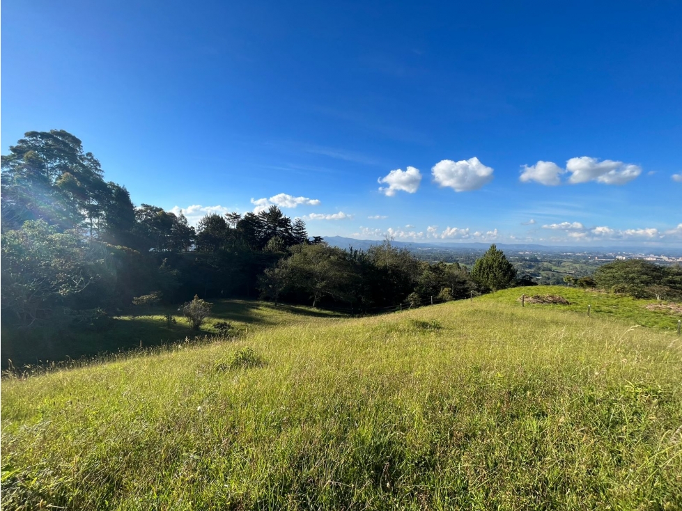 Land in Pontezuela for Sale - 2