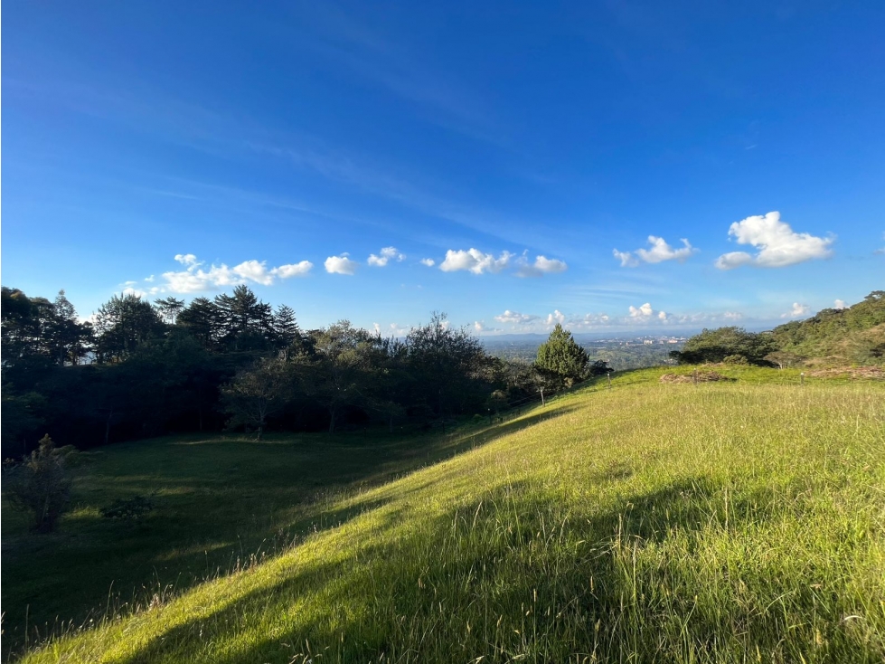 Land in Pontezuela for Sale - 3