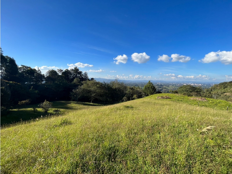 Land in Pontezuela for Sale - 4