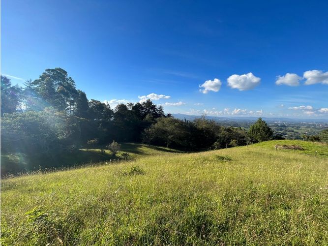 Lote en venta en Pontezuela, Rionegro, 10170 m² · foto 5 de 8