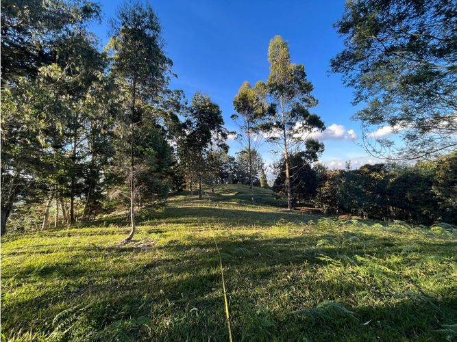 Lote en venta en Pontezuela, Rionegro, 10170 m² · foto 6 de 8