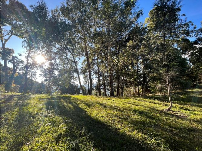 Lote en venta en Pontezuela, Rionegro, 10170 m² · foto 7 de 8