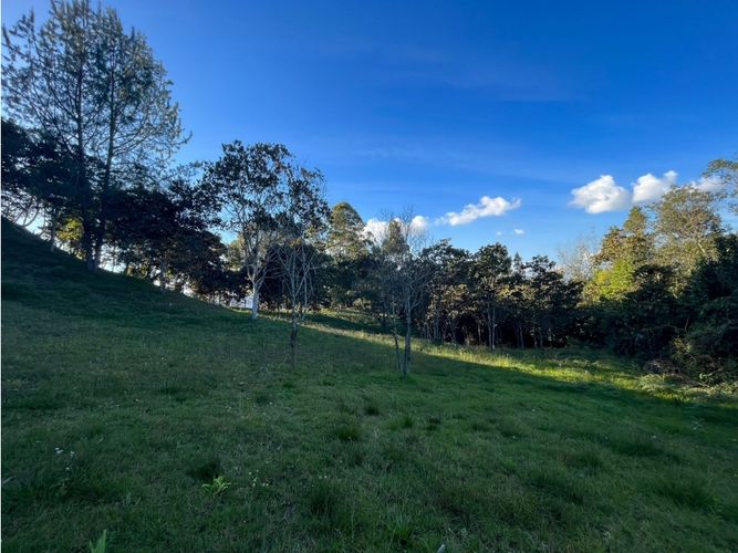 Lote en venta en Pontezuela, Rionegro, 10170 m² · foto 8 de 8