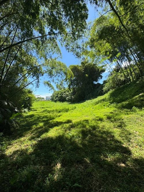 Lote en arriendo en El Estanquillo, Pereira, 1900 m² · foto 2 de 4
