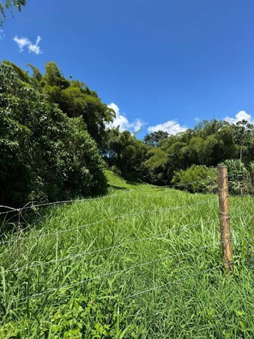 Lote en arriendo en El Estanquillo, Pereira, 1900 m² · foto 3 de 4