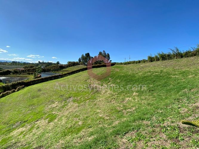 Lote en venta en La Industrial, Marinilla, 3425 m² · foto 4 de 10