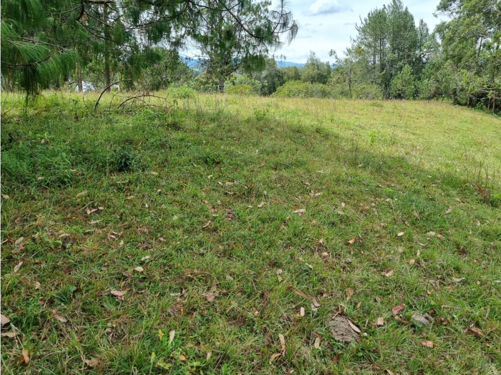 Land in Pontezuela for Sale