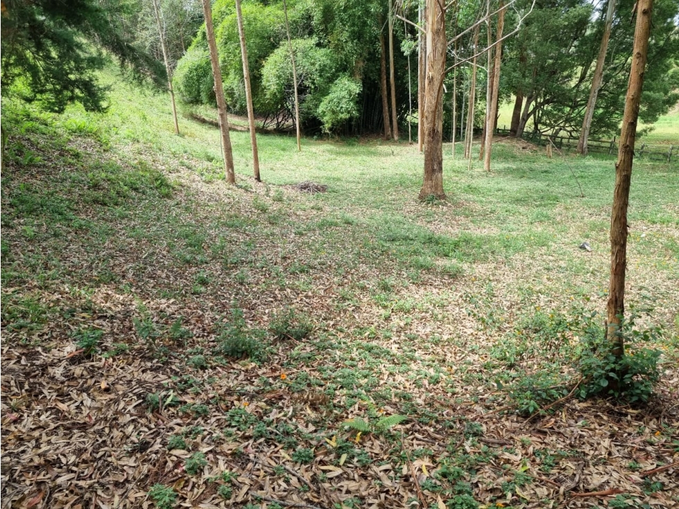 Land in Pontezuela for Sale - 2