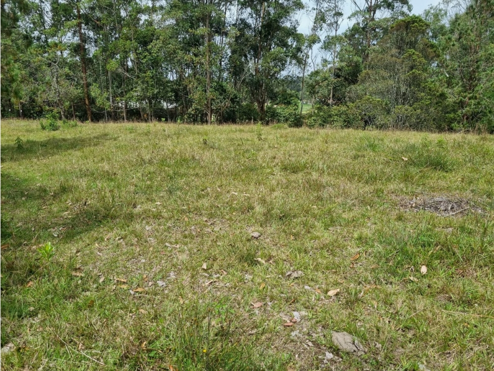 Land in Pontezuela for Sale - 3