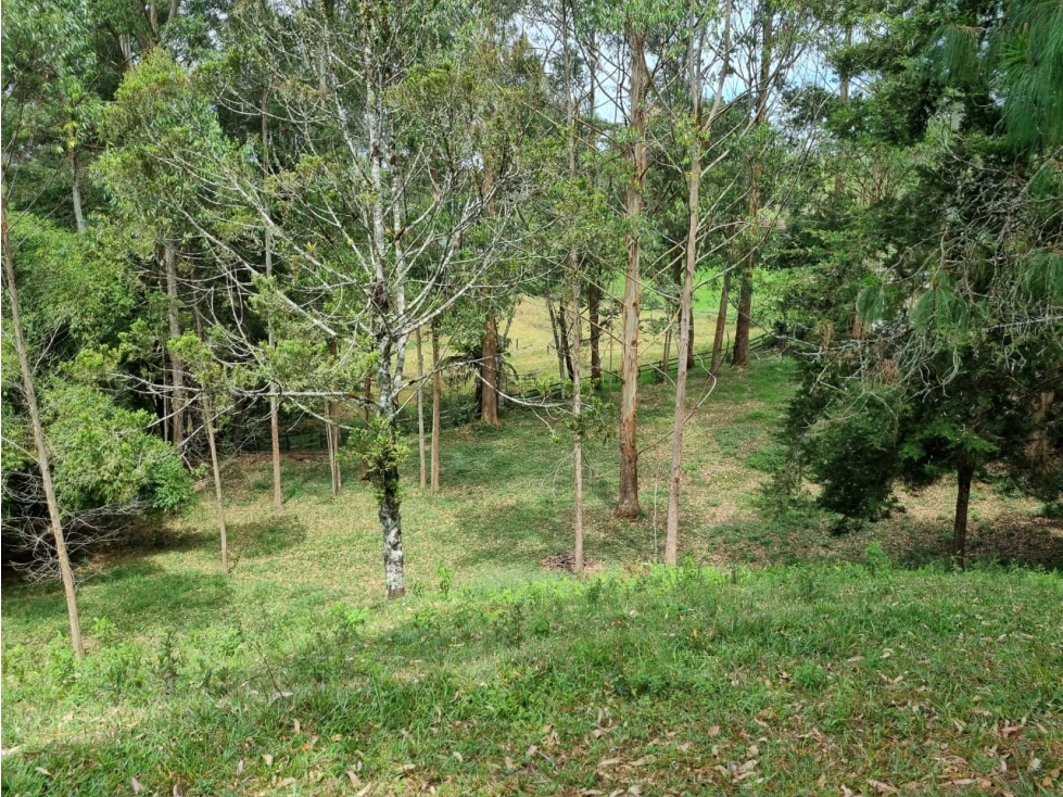 Land in Pontezuela for Sale - 4