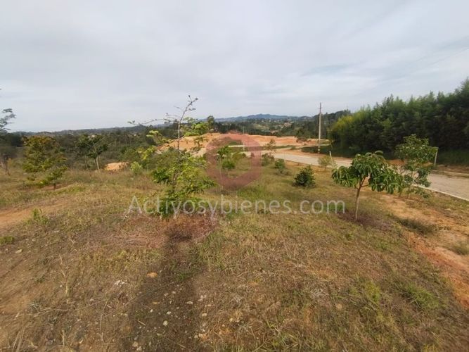 Lote en venta en El Porvenir, Rionegro, 1200 m² · foto 14 de 24
