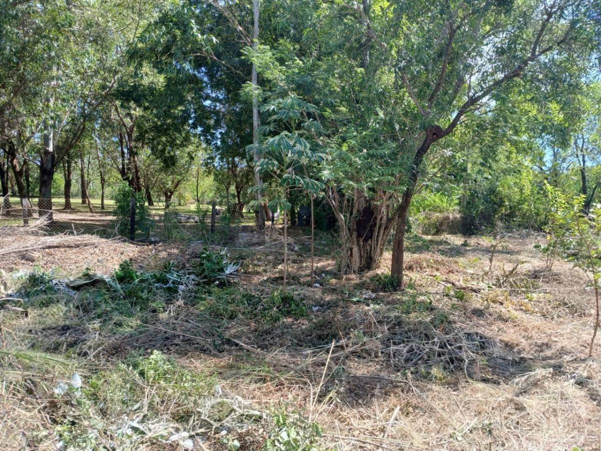 Vendo terreno 20 x 31 en San Bernardino – Zona Anfiteatro — foto 3