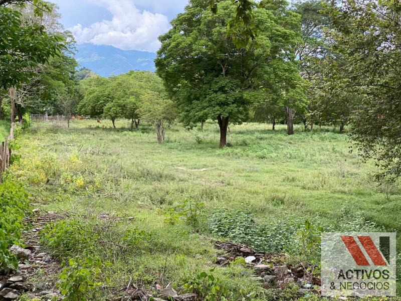 Land in El espinal for Sale - 4