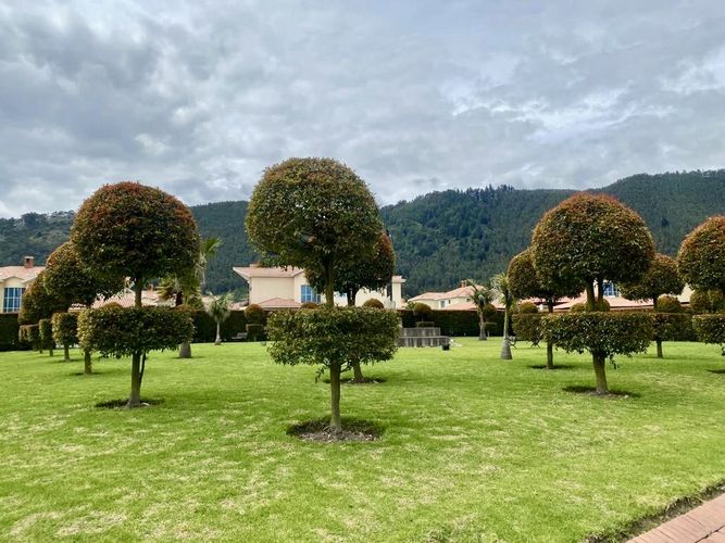 Lote en venta en Centro, Cajicá, 475 m² · foto 2 de 21