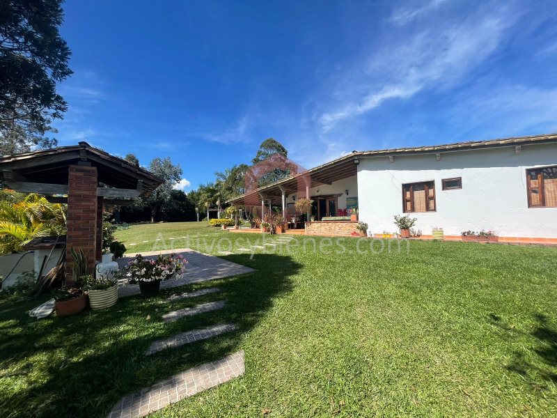 4BR House in Aeropuerto (6000 m²) - 3