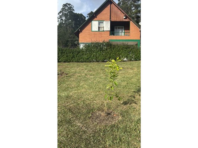 Casa de 4 alcobas en venta en San Miguel, La Ceja, 240 m² · foto 10 de 20