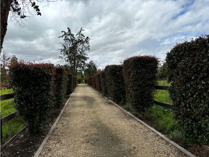 Finca en venta en Pinos Polo Club, Mosquera, 540 m² · foto 3 de 23
