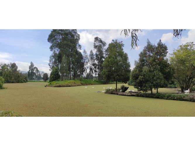 Finca en venta en Pinos Polo Club, Mosquera, 540 m² · foto 18 de 23