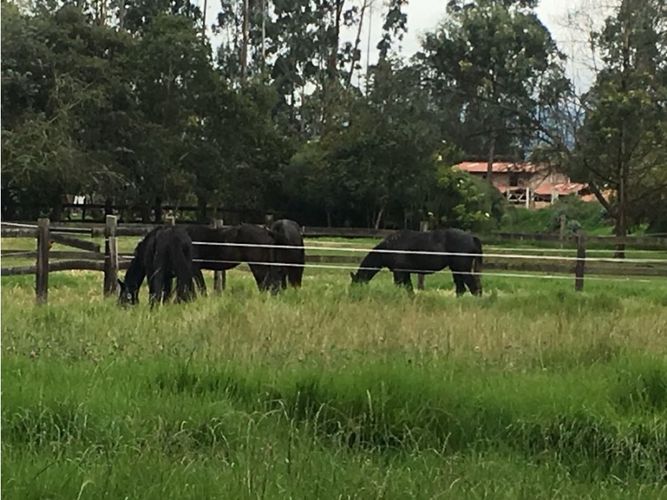 Finca en venta en Pinos Polo Club, Mosquera, 540 m² · foto 19 de 23