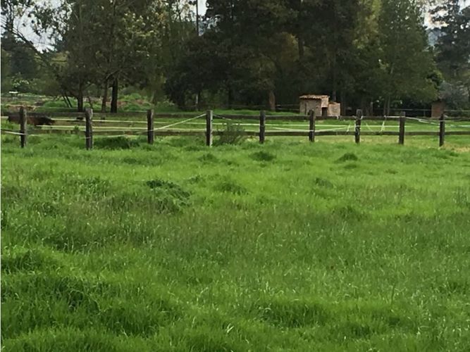 Finca en venta en Pinos Polo Club, Mosquera, 540 m² · foto 20 de 23