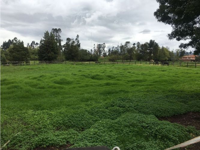 Finca en venta en Pinos Polo Club, Mosquera, 540 m² · foto 21 de 23