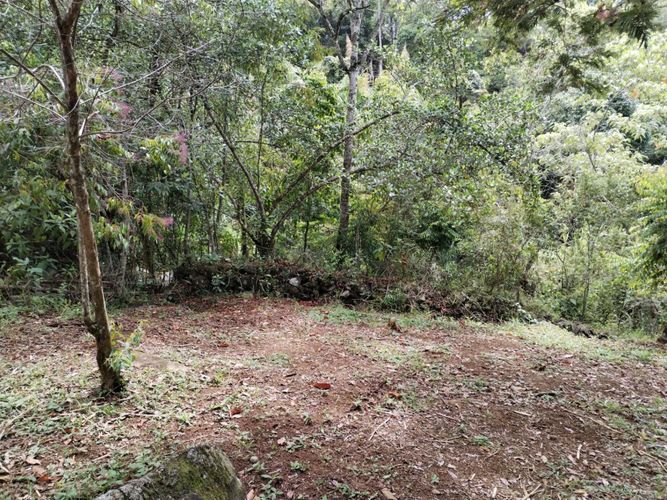 Casa de 6 alcobas en venta en La Buitrera, Cali, 300 m² · foto 14 de 24