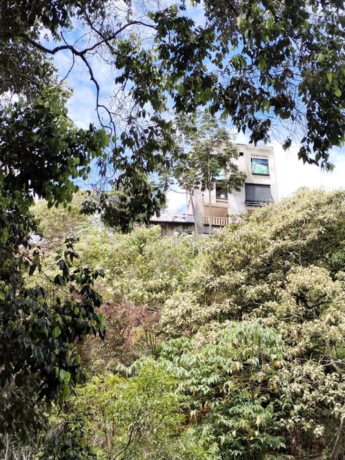 Casa de 6 alcobas en venta en La Buitrera, Cali, 300 m² · foto 15 de 24