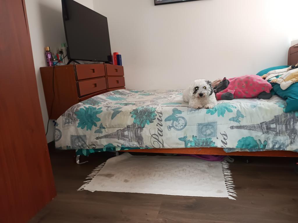 Casa en venta en Parque Residencia Nuevo Suba, Bogotá · foto 16 de 24