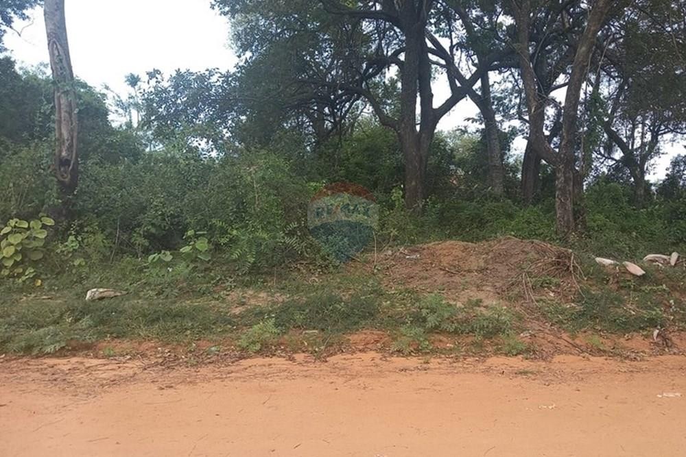 TERRENO EN VENTA zona EL PEÑON Limpio — foto 2
