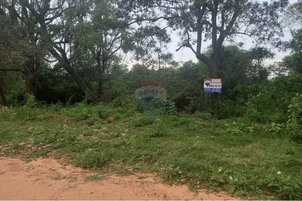 TERRENO EN VENTA zona EL PEÑON Limpio — foto 3