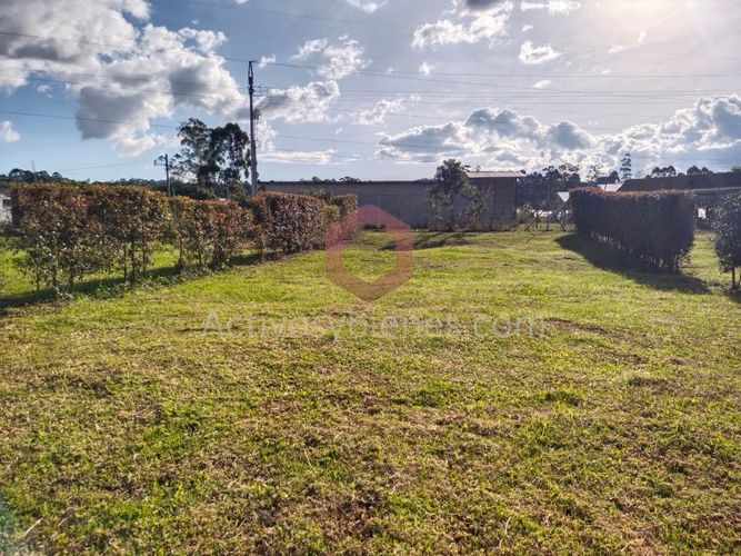Lote en venta en Guamito, La Ceja, 254 m² · foto 3 de 12