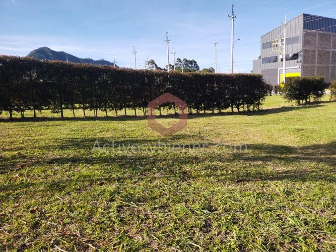 Lote en venta en Guamito, La Ceja, 254 m² · foto 5 de 12