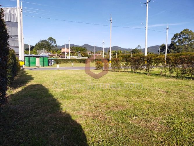 Lote en venta en Guamito, La Ceja, 254 m² · foto 8 de 12
