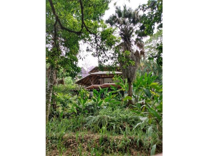Casa de 6 alcobas en venta en La Buitrera, Cali, 281 m² · foto 4 de 24