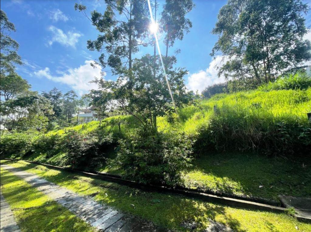 Land in San Lucas (2318 m²) for Sale
