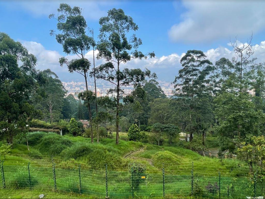 Lote en Venta en San Lucas, Medellín - 2