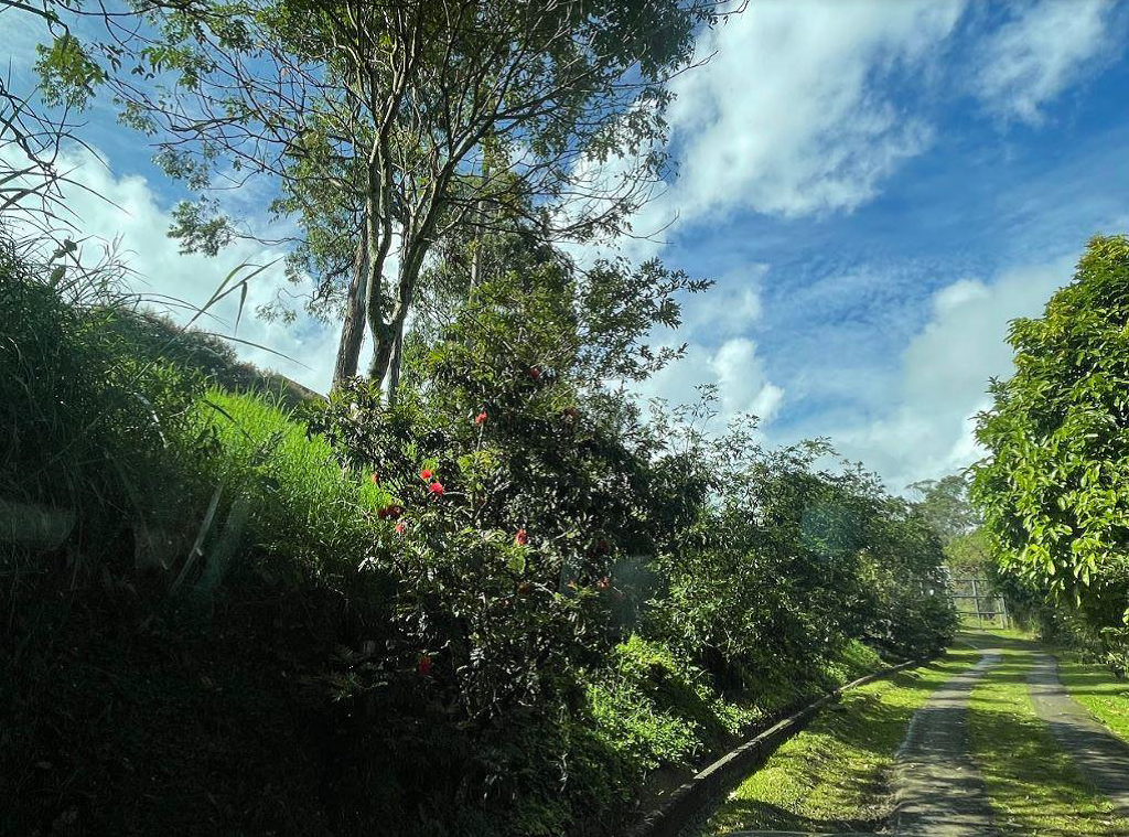 Lote en Venta en San Lucas, Medellín - 3