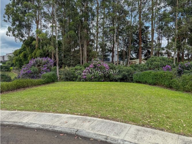 Lote en venta en Gualanday, Rionegro, 307 m² · foto 6 de 8