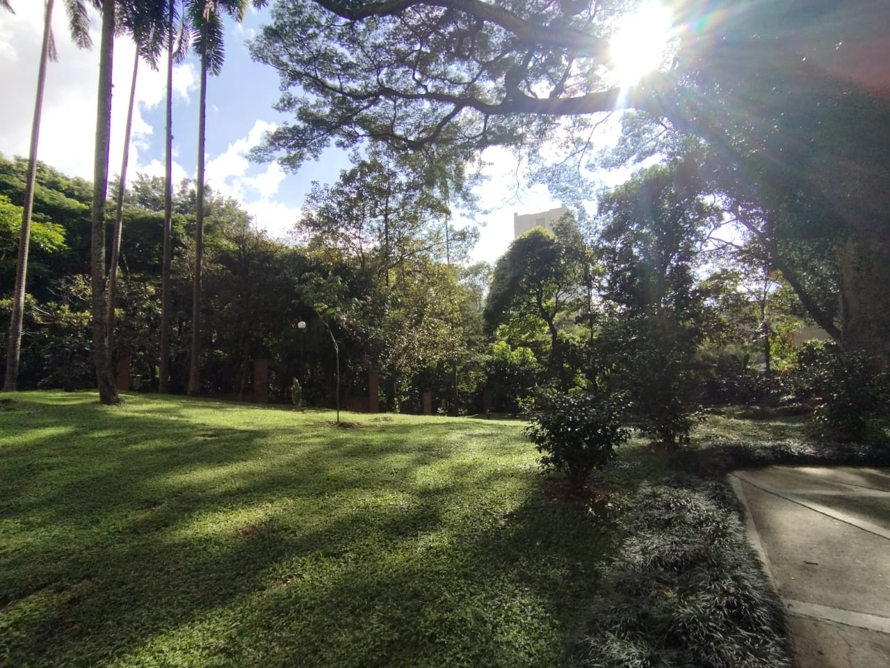 Apartamento en arriendo en El Poblado, Medellín · foto 8 de 20