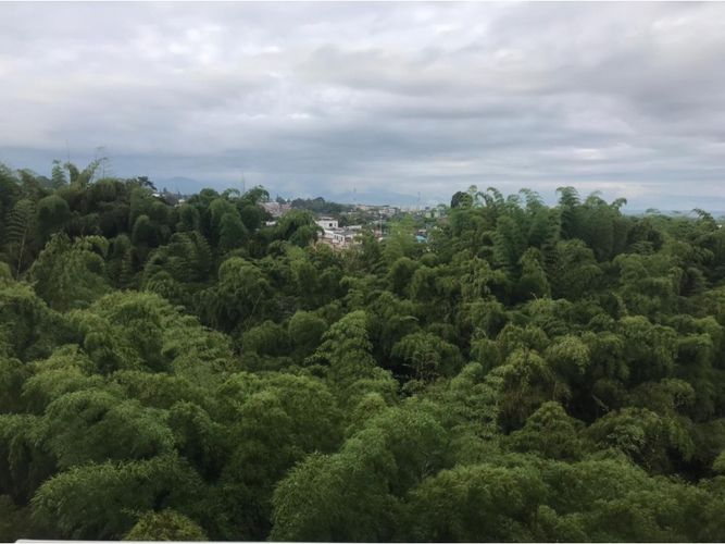 Apartamento de 3 alcobas en venta en La Rivera, Armenia, 60 m² · foto 17 de 19