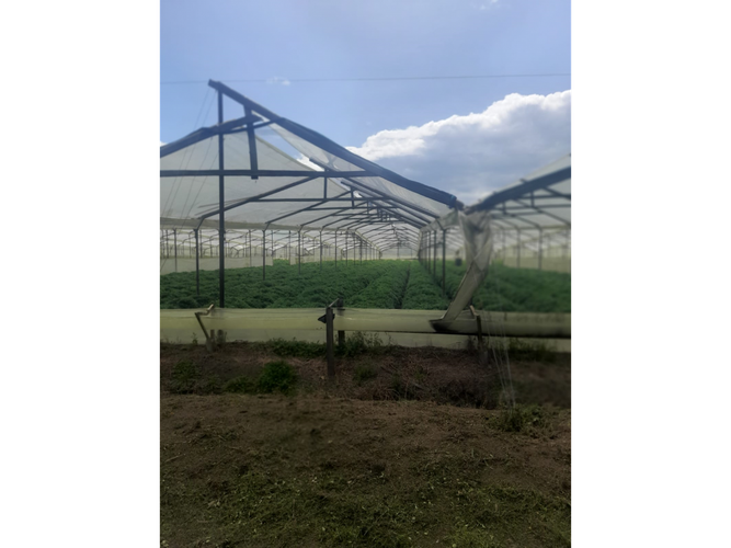 Finca en venta en Pueblo Viejo, Cota, 1200 m² · foto 5 de 14