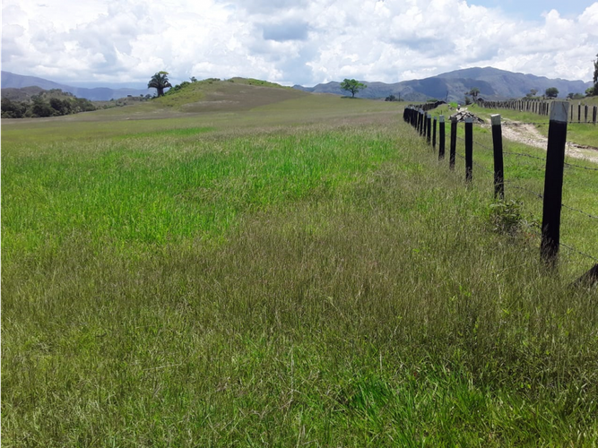 Finca en venta en Pueblo Viejo, Cota, 1200 m² · foto 10 de 14